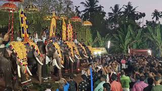 Muriyad Shashti 2023 #guruvayoorrajashekaran #puthupallykesavan #mangalamkunnusaranayyapan #pooram