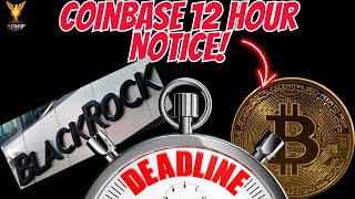 Expert Reveals the Shocking Truth About Bitcoin's 12-Hour Deadline