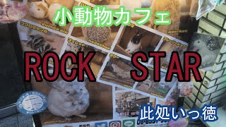 小動物カフェ　ROCK　STAR　　大阪難波