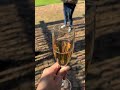 the best wine tasting in stellenbosch south africa