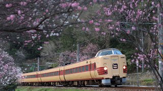 伯備線 備中川面〜方谷 1024M やくも24号 381系 国鉄色