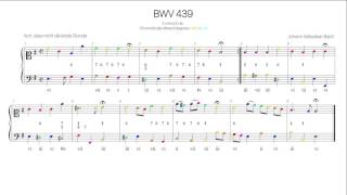 Bach BWV 439 Harmonic analysis with colored notes -Schemelli Songbook 56-