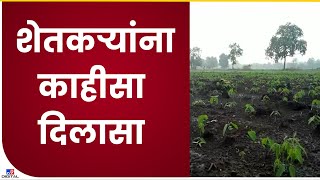 Hingoli | हिंगोली जिल्ह्यात सलग तिसऱ्या दिवशी जोरदार पाऊस-Tv9