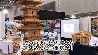 NSG夏フェス　マル秘プロジェクトVol.6　伝統文化と環境福祉の専門学校　堂宮大工　就職　建築士