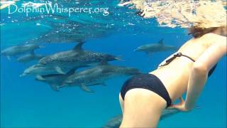 Sarah's Private Dolphin Swim | Bimini, Bahamas | DolphinWhisperer.org