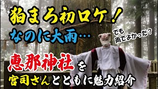 狛まろ初ロケ！　なのに大雨！！　岐阜県中津川市の神秘的な神社、恵那神社を現地で宮司さんとともに紹介！　見事な夫婦杉、神聖な雰囲気の境内の状況をお届けします！