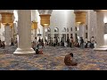 Bak Salat Tarawih di Makkah, Ramadan Masjid Zayed Solo Datangkan Imam dari UEA Bikin Jamaah Terenyuh