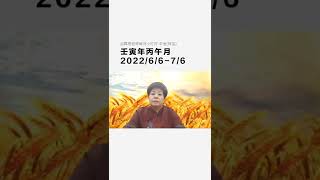 壬寅年丙午月小叮咛-辛金(珠宝)#霖恩老师每月小叮咛#每月運勢