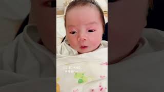 1개월아기 신생아 귀여워