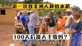 第一次教非洲人种植稻子，人们积极参与，100天后能大丰收吗？