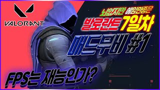 뇌없는 FPS고인물의 발로란트 하이라이트ㅣ레피 발로란트 매드무비#1