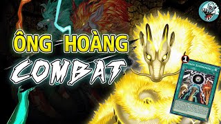 TENPAI, Ông Hoàng Combat, 1 chốc lát 30.000 Sát Thương | Yugioh Việt Nam