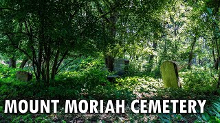 Philadelphia's Abandoned Mount Moriah Cemetery