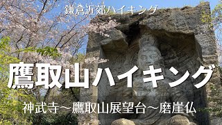 【逗子＆横須賀】神武寺鷹取山ハイキングコース（神武寺～鷹取山展望台～磨崖仏）