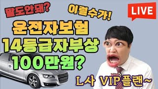 말도 안돼?? 국내최초 부상위로금 14등급 무려100만원?? (f.조기 마감예정ㅠ)