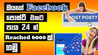 How To Facebook  Post  Boosting Sinhala | Themasterlk