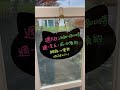 台灣最東邊小漁村 馬崗漁港 shorts 海味 貓咪 潮間帶 貢寮 咖啡小館