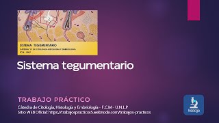 SISTEMA TEGUMENTARIO - TRABAJO PRÁCTICO