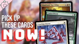 Pick Up These New Cards Right Now! | Phyrexia: All Will Be One | Best Pickups! | Magic the Gathering