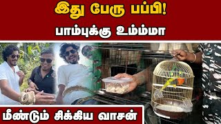 டிடிஎப் வாசன் சேட்டை; அரியவகை கிளி ஆமை பறிமுதல் | TTF Vasan | YouTuber Vasan Snake | Forest Departme