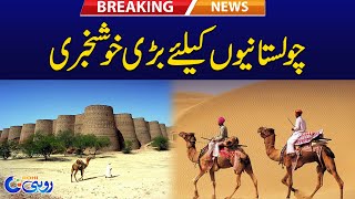 Good News For Cholistan Peoples - Breaking News - Rohi