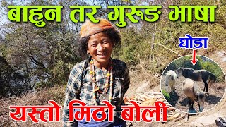 बाहुन भएपनि गुरुङ भाषा फरर बोल्ने आमासँग घोडा पालन बारेमा कुराकानी ! │Nepal Chitra