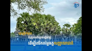 រដ្ឋមន្រ្តីបរិស្ថាន ជំរុញការដាំត្នោតឡើងវិញ ដើម្បីលើកតម្លៃអត្តសញ្ញាណជាតិ