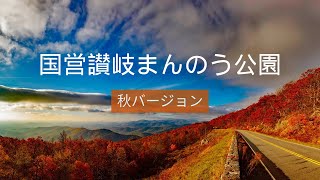 国営讃岐まんのう公園　秋バージョン