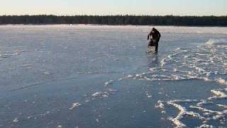 Tõukekelkudega Aegna saarele, 23.01.2010