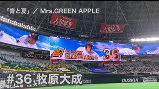 #36 牧原大成(ソフトバンクホークス)登場曲「青と夏」/ Mrs.GREEN APPLE【2021年公式戦】