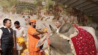 श्री वेदलक्षणा श्री सुरभि गौ माता श्री पथमेड़ा गोधाम महातीर्थ आनंदवन