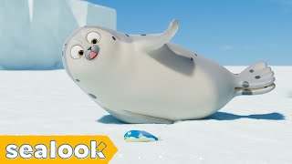 Sealy Doesn’t Share Food!ㅣSEALOOKㅣEP.15