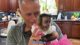 Super spoiled monkey in love with her human dad “Monkey Angelika is her daddy’s little princess” ❤️