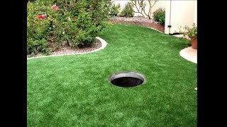i found this in my backyard...
