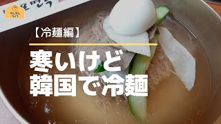 【冷麺編】寒いけど韓国で冷麺 / 【냉면편】춥지만 냉면 먹기