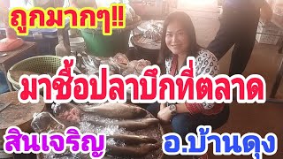 ถูกมาก!!มาชื้อปลาบึกที่ตลาดปลาสินเจริญ อ.บ้านดุง จ.อุดรธานี #ส้มแบ้ซาแนล