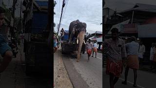 നോക്കി നിൽക്കാതെ ഒരു കൈ തായോ പാപ്പാനെ ഞാൻ ഒന്നിറങ്ങട്ടെ #shots