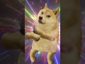 short music video for Richards Simmons's new amazing hit song Bow Wow (ft. dancing Doge)