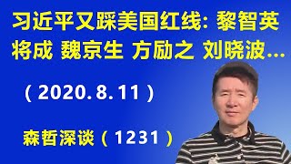 习近平又踩美国红线：黎智英将成为 魏京生、方励之、刘晓波之后，中美人权问题的重磅炸弹.（2020.8.11）