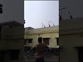 flying kite in makar sankranti whistlepodu 7