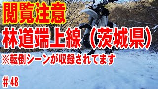 【閲覧注意】筑波山近くの林道端上線【転倒あり】