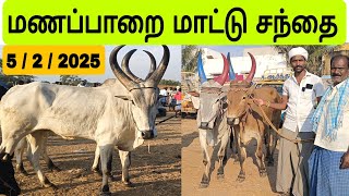 5 / 2 / 2025 / மணப்பாறை மாட்டு சந்தை #மாடு #மாட்டுசந்தை #திருச்சி #மாடுவளர்ப்பு #maadu #காளைமாடுகள்