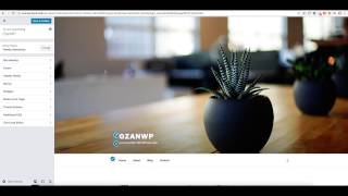 Live CSS JS Code Editor WordPress Plugin Preview