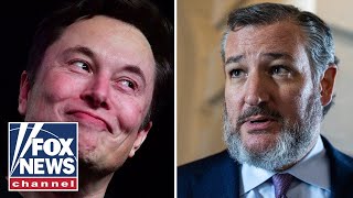 Ted Cruz exposes the ‘highest level’ of corruption revealed by Elon Musk
