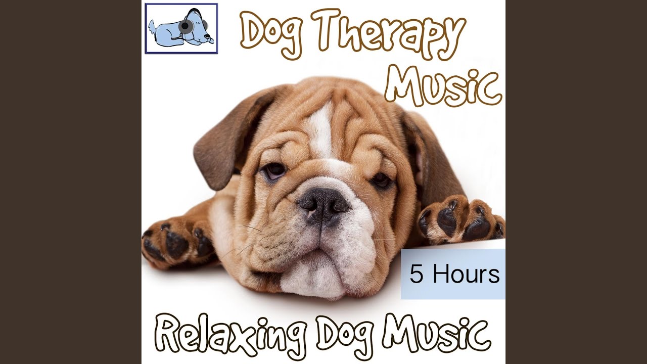 Calm Puppy Youtube Music