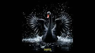 The black swan