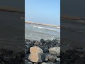 rock beach in nellore