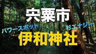 【宍粟市】伊和神社パワースポット散歩で杉の大木からエナジーチャージする男