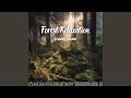 Guided Imagery for Mindfulness Breathing Exercises