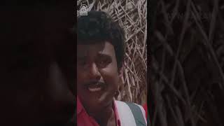 ஒரு மாமனார எவ்வளவு சமாளிக்கிறது !!#trendingshorts #Sakkarai Panthal #Saranraj #Goundamani